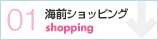 01 �C�O�V���b�s���O