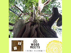 WOOD MEETS～木と出会う場所～