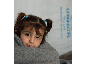 国連UNHCR協会 主催国連難民支援キャンペーン